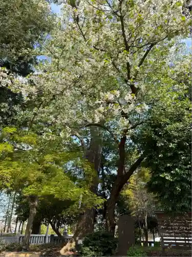深見神社(神奈川県)