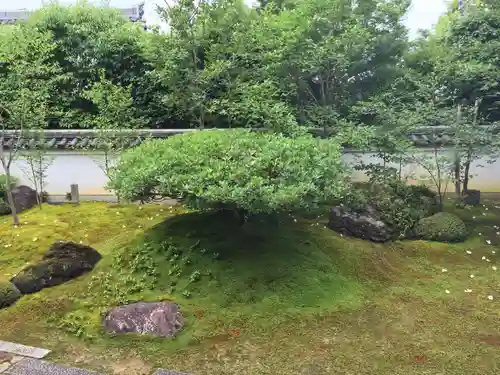 東林院の庭園