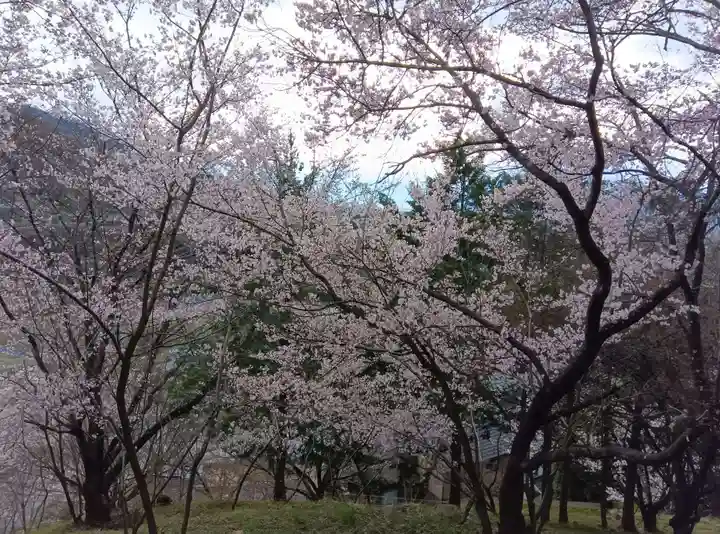 大善寺(山梨県)