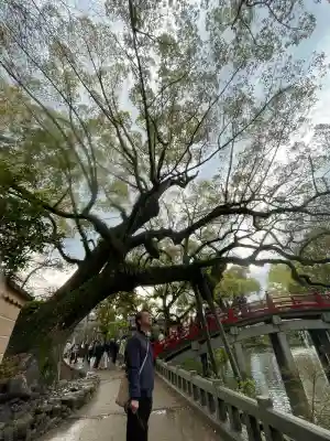 太宰府天満宮の{uncategorized: "未分類", other: "その他", undefined: "問題あり", building: "その他建物", grave: "お墓", sacred_gate: "鳥居", guardian: "狛犬", statue: "像", buddha: "仏像", history: "歴史", nature: "自然", garden: "庭園", animal: "動物", pagoda: "塔", temizu: "手水舎", mountain_gate: "山門・神門", sanctuary: "本殿・本堂", subordinate: "末社・摂社", art: "芸術", scenery: "景色", jizo: "地蔵", ema: "絵馬", goshuin: "御朱印", omikuji: "おみくじ", items: "授与品その他", amulet: "お守り", goshuincho: "御朱印帳", eats: "食事", festival: "お祭り", votive_dance: "神楽", shichigosan: "七五三参", wedding: "結婚式", experience: "体験その他", initially: "初詣", around: "周辺", anti_infection: "感染症対策"}