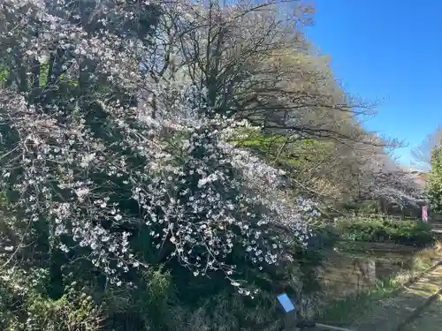 敷島神社(埼玉県)