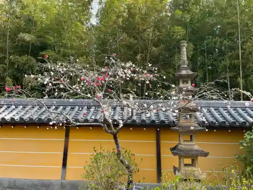 高徳院の{uncategorized: "未分類", other: "その他", undefined: "問題あり", building: "その他建物", grave: "お墓", sacred_gate: "鳥居", guardian: "狛犬", statue: "像", buddha: "仏像", history: "歴史", nature: "自然", garden: "庭園", animal: "動物", pagoda: "塔", temizu: "手水舎", mountain_gate: "山門・神門", sanctuary: "本殿・本堂", subordinate: "末社・摂社", art: "芸術", scenery: "景色", jizo: "地蔵", ema: "絵馬", goshuin: "御朱印", omikuji: "おみくじ", items: "授与品その他", amulet: "お守り", goshuincho: "御朱印帳", eats: "食事", festival: "お祭り", votive_dance: "神楽", shichigosan: "七五三参", wedding: "結婚式", experience: "体験その他", initially: "初詣", around: "周辺", anti_infection: "感染症対策"}