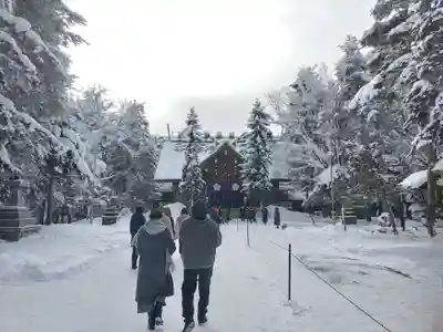 上川神社の初詣