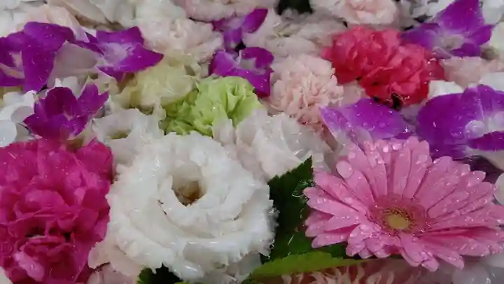 手稲神社(北海道)