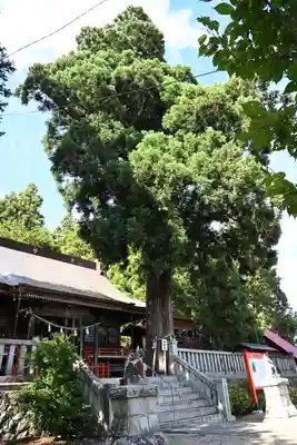 鼬幣稲荷神社(岩手県)