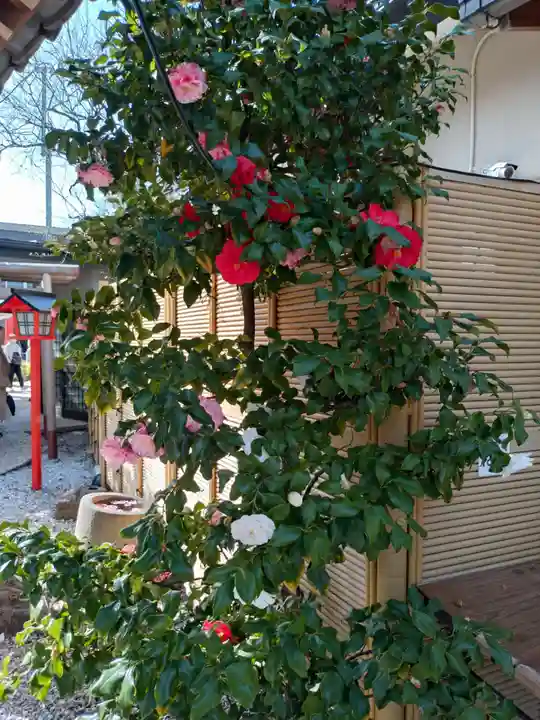 蛇窪神社(東京都)