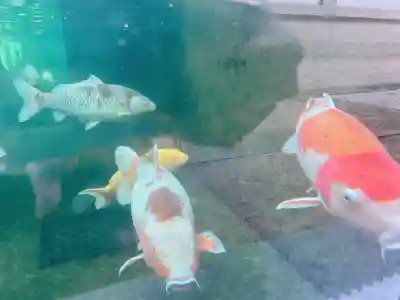 大聖観音寺（あびこ観音）(大阪府)