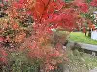 聖林寺(奈良県)