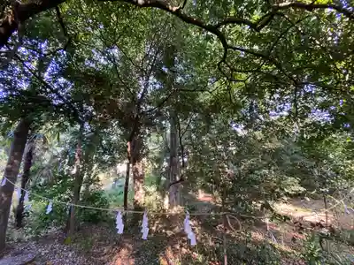 布多天神社(東京都)
