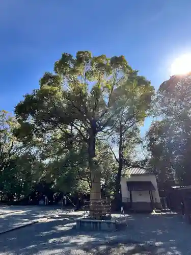 水無瀬神宮(大阪府)