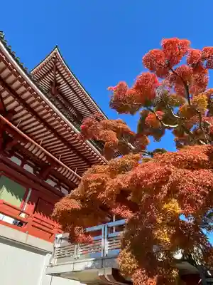 成田山新勝寺のその他建物