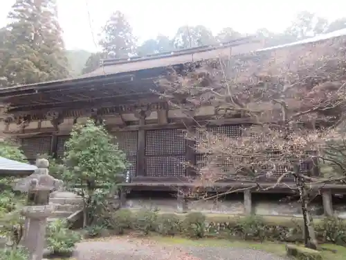 金剛輪寺の本殿・本堂