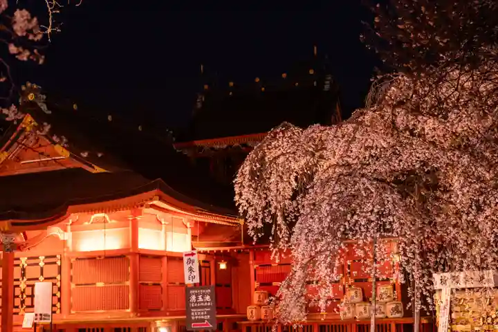 富士山本宮浅間大社(静岡県)