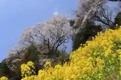 高木神社の自然