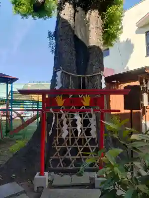 五方山熊野神社の{uncategorized: "未分類", other: "その他", undefined: "問題あり", building: "その他建物", grave: "お墓", sacred_gate: "鳥居", guardian: "狛犬", statue: "像", buddha: "仏像", history: "歴史", nature: "自然", garden: "庭園", animal: "動物", pagoda: "塔", temizu: "手水舎", mountain_gate: "山門・神門", sanctuary: "本殿・本堂", subordinate: "末社・摂社", art: "芸術", scenery: "景色", jizo: "地蔵", ema: "絵馬", goshuin: "御朱印", omikuji: "おみくじ", items: "授与品その他", amulet: "お守り", goshuincho: "御朱印帳", eats: "食事", festival: "お祭り", votive_dance: "神楽", shichigosan: "七五三参", wedding: "結婚式", experience: "体験その他", initially: "初詣", around: "周辺", anti_infection: "感染症対策"}