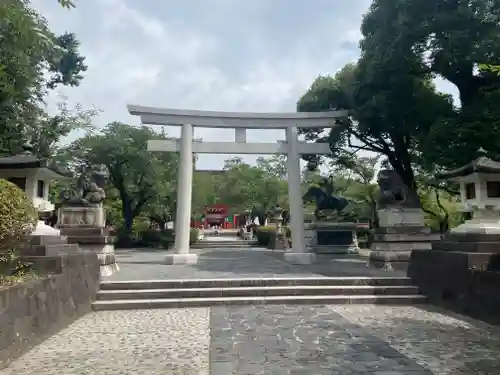 富士山本宮浅間大社(静岡県)