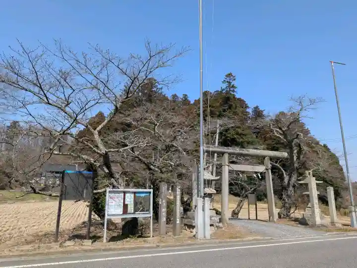 鹿島大神宮の{uncategorized: "未分類", other: "その他", undefined: "問題あり", building: "その他建物", grave: "お墓", sacred_gate: "鳥居", guardian: "狛犬", statue: "像", buddha: "仏像", history: "歴史", nature: "自然", garden: "庭園", animal: "動物", pagoda: "塔", temizu: "手水舎", mountain_gate: "山門・神門", sanctuary: "本殿・本堂", subordinate: "末社・摂社", art: "芸術", scenery: "景色", jizo: "地蔵", ema: "絵馬", goshuin: "御朱印", omikuji: "おみくじ", items: "授与品その他", amulet: "お守り", goshuincho: "御朱印帳", eats: "食事", festival: "お祭り", votive_dance: "神楽", shichigosan: "七五三参", wedding: "結婚式", experience: "体験その他", initially: "初詣", around: "周辺", anti_infection: "感染症対策"}
