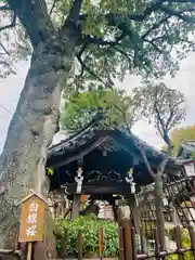 白山神社(東京都)