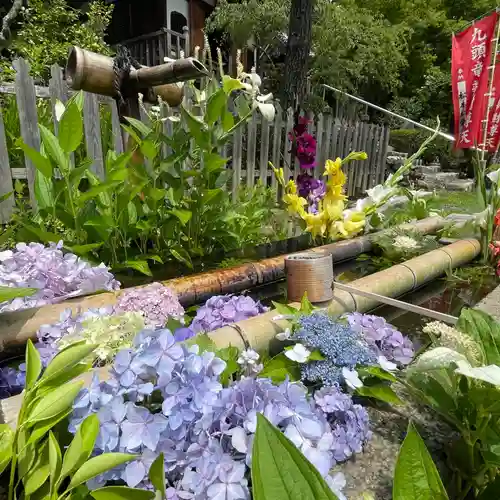 二尊院の手水舎