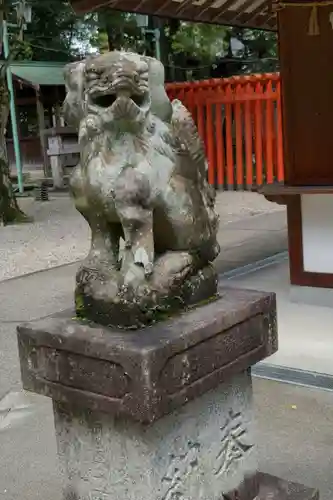 深川神社の狛犬