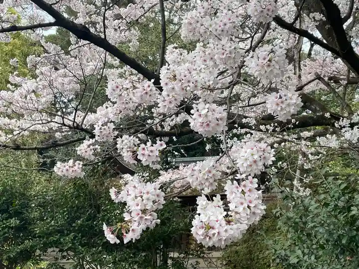 宗像神社の自然