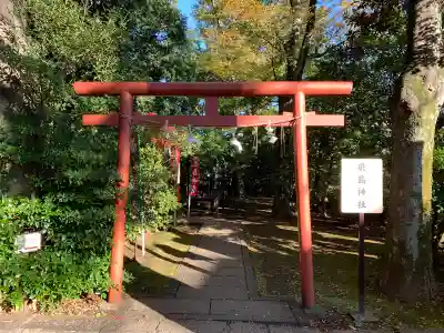 世田谷八幡宮(東京都)