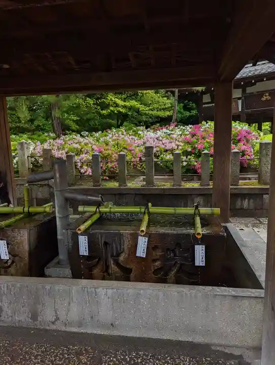 城南宮(京都府)