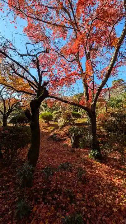法金剛院(京都府)