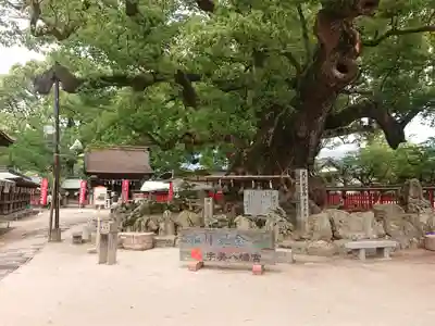 宇美八幡宮(福岡県)