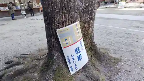 白峯神宮(京都府)