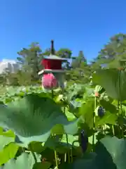 白山神社(新潟県)