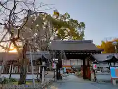 平野神社(京都府)