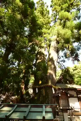 大神神社(奈良県)