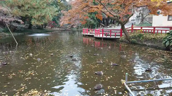 間々田八幡宮の庭園