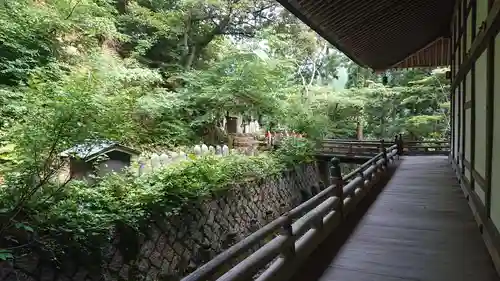 摩尼寺の建物その他