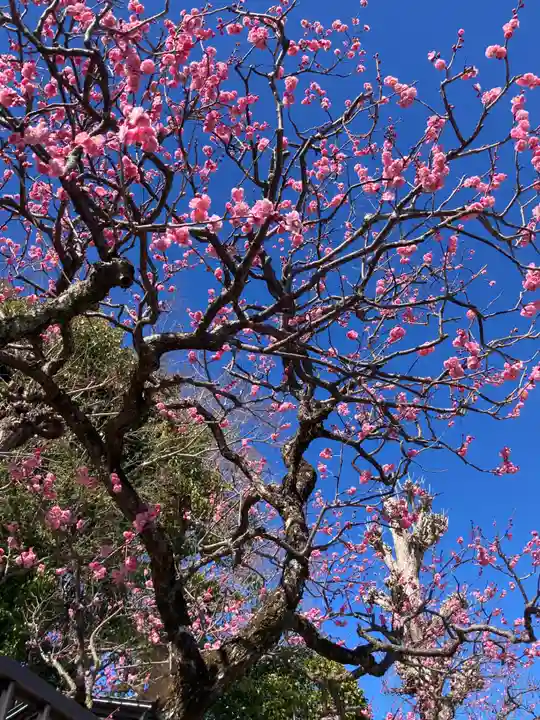 城前寺(神奈川県)