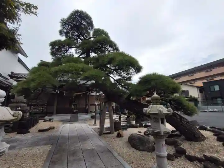 瑞光寺の庭園