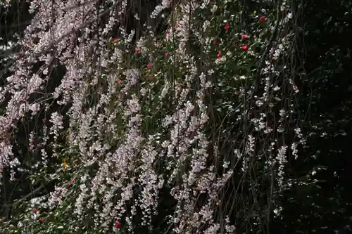 田村神社の自然