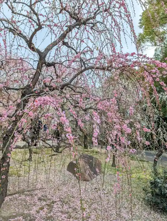 城南宮の{uncategorized: "未分類", other: "その他", undefined: "問題あり", building: "その他建物", grave: "お墓", sacred_gate: "鳥居", guardian: "狛犬", statue: "像", buddha: "仏像", history: "歴史", nature: "自然", garden: "庭園", animal: "動物", pagoda: "塔", temizu: "手水舎", mountain_gate: "山門・神門", sanctuary: "本殿・本堂", subordinate: "末社・摂社", art: "芸術", scenery: "景色", jizo: "地蔵", ema: "絵馬", goshuin: "御朱印", omikuji: "おみくじ", items: "授与品その他", amulet: "お守り", goshuincho: "御朱印帳", eats: "食事", festival: "お祭り", votive_dance: "神楽", shichigosan: "七五三参", wedding: "結婚式", experience: "体験その他", initially: "初詣", around: "周辺", anti_infection: "感染症対策"}