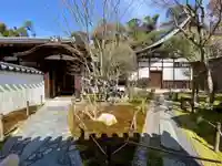 龍吟庵(竜吟庵)の庭園