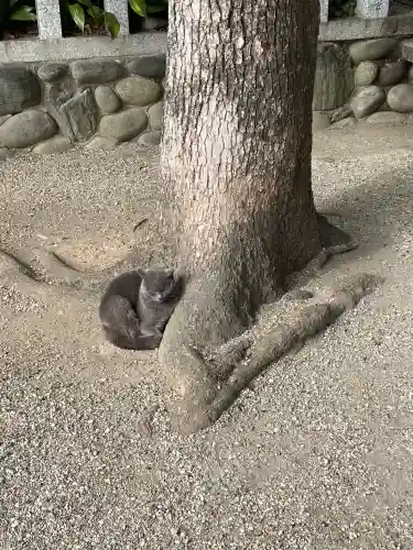 御器所八幡宮(愛知県)