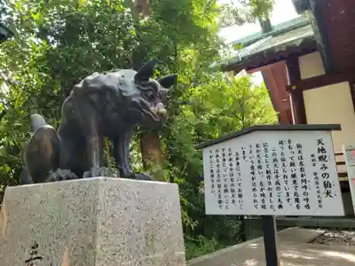 稲毛神社の狛犬