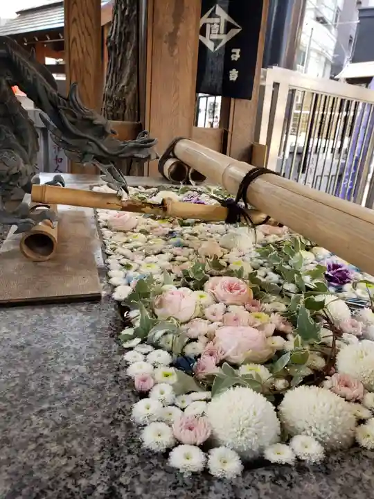 高円寺氷川神社の手水舎