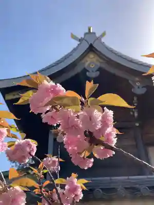 住吉神社の本殿・本堂