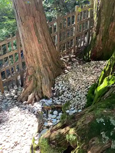 玉置神社(奈良県)