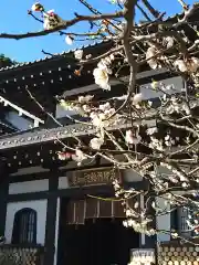 長谷寺(神奈川県)