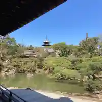 仁和寺の庭園