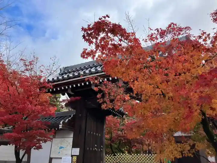 禅林寺(永観堂)の山門・神門
