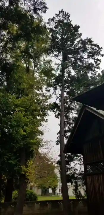 天祖神社のその他建物