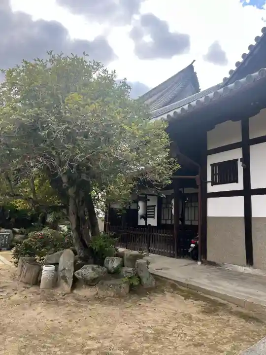 天寧寺の{uncategorized: "未分類", other: "その他", undefined: "問題あり", building: "その他建物", grave: "お墓", sacred_gate: "鳥居", guardian: "狛犬", statue: "像", buddha: "仏像", history: "歴史", nature: "自然", garden: "庭園", animal: "動物", pagoda: "塔", temizu: "手水舎", mountain_gate: "山門・神門", sanctuary: "本殿・本堂", subordinate: "末社・摂社", art: "芸術", scenery: "景色", jizo: "地蔵", ema: "絵馬", goshuin: "御朱印", omikuji: "おみくじ", items: "授与品その他", amulet: "お守り", goshuincho: "御朱印帳", eats: "食事", festival: "お祭り", votive_dance: "神楽", shichigosan: "七五三参", wedding: "結婚式", experience: "体験その他", initially: "初詣", around: "周辺", anti_infection: "感染症対策"}